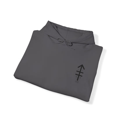 LCSB Hoodie
