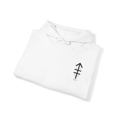 LCSB Hoodie