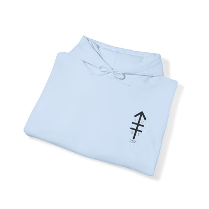 LCSB Hoodie